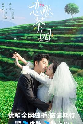 恋恋茶园 - 国产剧 (2024) 海报