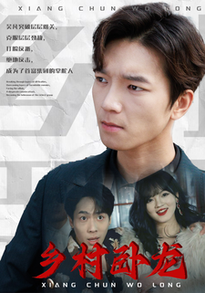 乡村卧龙 - 反转爽剧 (2024) 海报