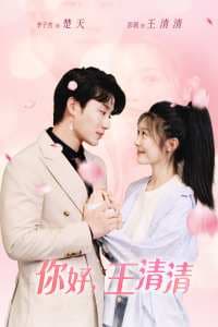 你好，王清清且以旧火试新茶 - 现代都市 (2024) 海报