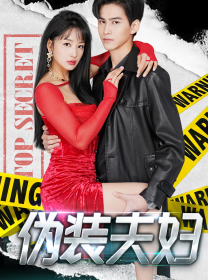 伪装夫妇 - 现代都市 (2024) 海报