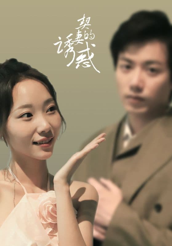 契妻的诱惑 - 现代都市 (2024) 海报