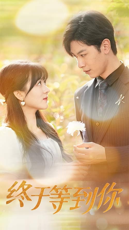 终于等到你$你是我的木槿年华 - 女频恋爱 (2024) 海报