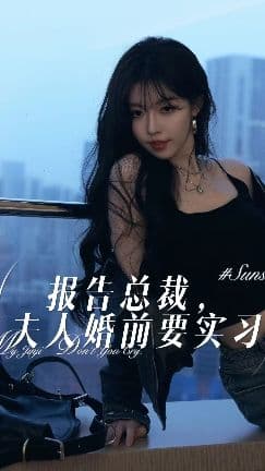 报告总裁，夫人婚前要实习 - 现代都市 (2024) 海报