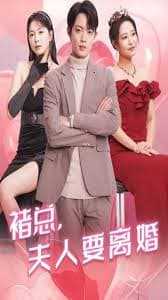 褚总夫人要离婚 - 女频恋爱 (2024) 海报