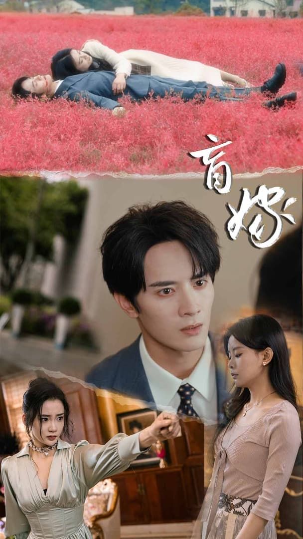 盲嫁 - 女频恋爱 (2024) 海报