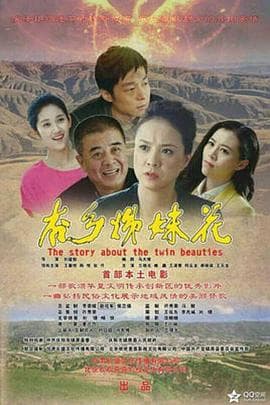 杏乡姊妹花 - 剧情片 (2015) 海报