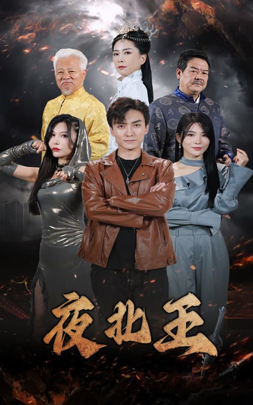 夜北王 - 反转爽剧 (2024) 海报