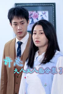 许总，夫人又人格分裂了 - 现代都市 (2024) 海报