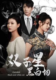 双子星黑白切 - 现代都市 (2024) 海报