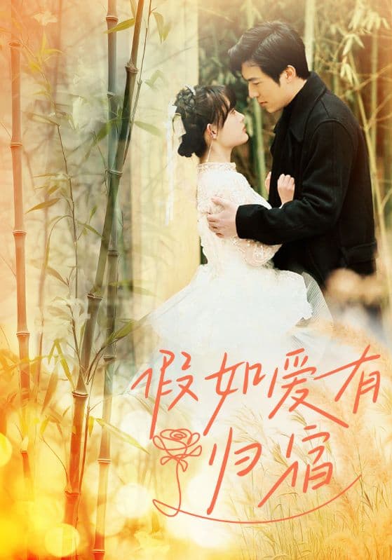 假如爱有归宿 - 女频恋爱 (2024) 海报