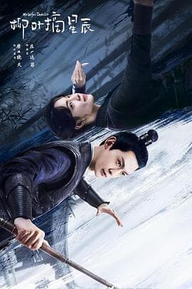 柳叶摘星辰 - 国产剧 (2024) 海报