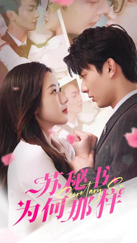 苏秘书为何那样$报告苏秘书，傅总想上位 - 女频恋爱 (2024) 海报