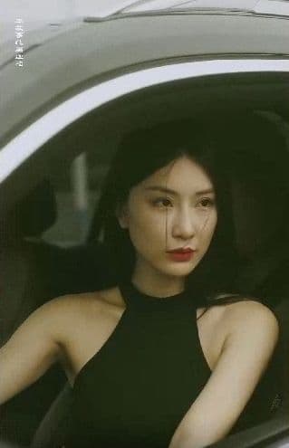 特工凤凰（绝色特工） - 现代都市 (2024) 海报