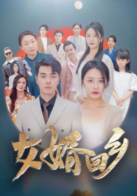 女婿回乡 - 反转爽剧 (2024) 海报