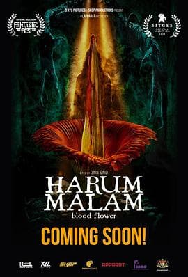 血忌【影视解说】 - 影视解说 (2022) 海报