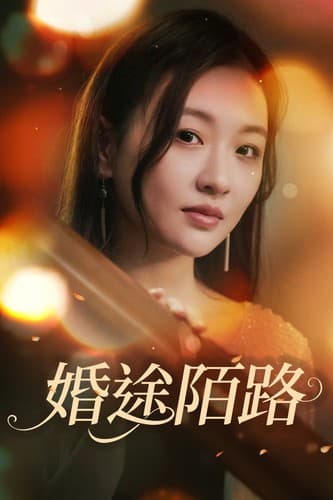 婚途陌路 - 现代都市 (2024) 海报