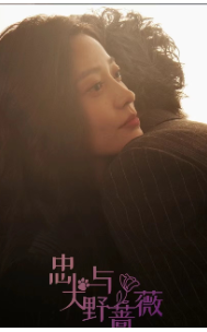 忠犬与野蔷薇 - 现代都市 (2024) 海报