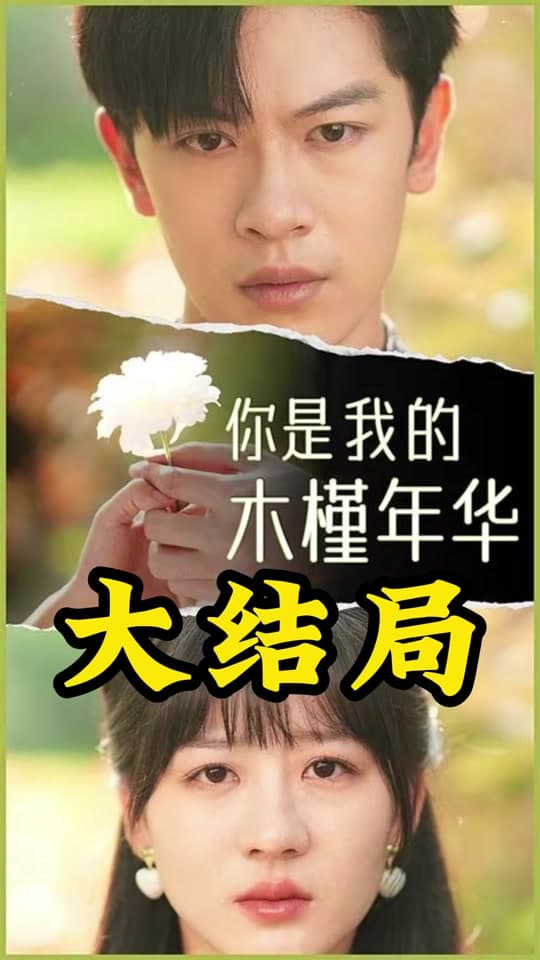 你是我的木槿年华 - 女频恋爱 (2024) 海报