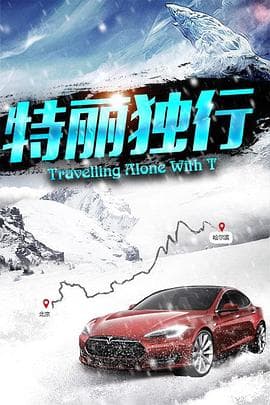 特丽独行 - 欧美剧 (2016) 海报