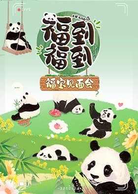 福到福到福宝见面会 - 大陆综艺 (2024) 海报
