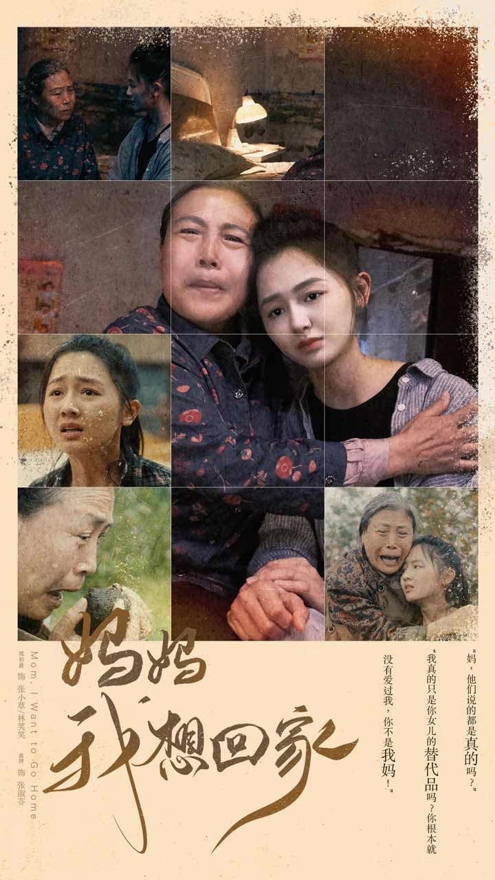 妈妈我想回家离离原上草 - 现代都市 (2024) 海报