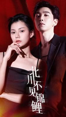 北川不见锦 - 女频恋爱 (2024) 海报