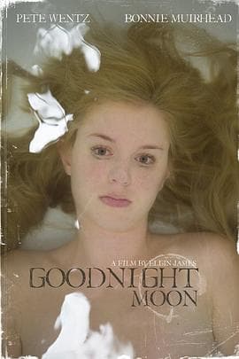 我们是一群小小鸟 - 剧情片 (2011) 海报