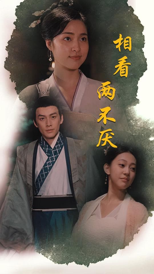 相看两不厌这个王妃不好惹 - 年代穿越 (2024) 海报