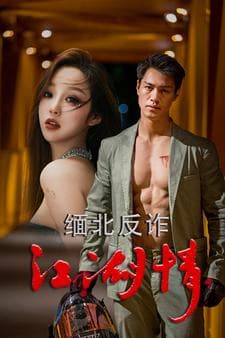 缅北反诈江湖情 - 现代都市 (2024) 海报