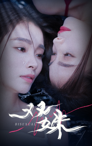 双姝 - 现代都市 (2024) 海报