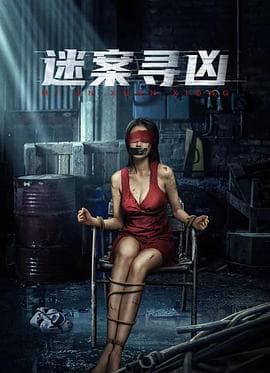 迷案寻凶 - 剧情片 (2024) 海报