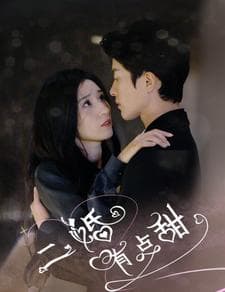 二婚有点甜 - 女频恋爱 (2024) 海报