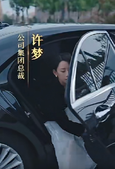 女老板的复仇 - 反转爽剧 (2024) 海报