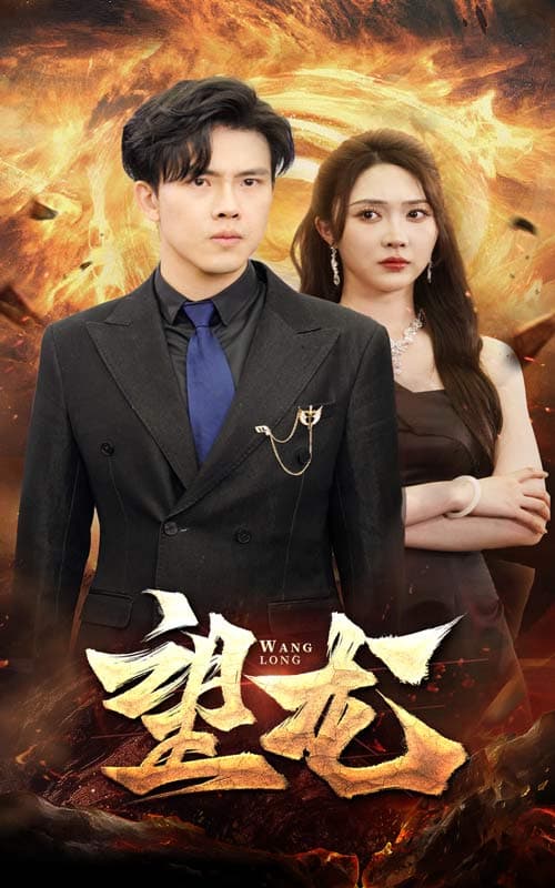 望龙短剧版 - 反转爽剧 (2024) 海报