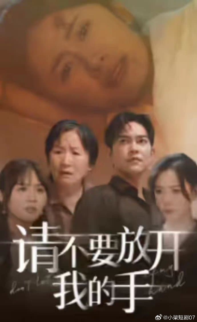 请不要放开我的手 - 女频恋爱 (2024) 海报