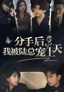 分手后，我被陆总宠上天 - 女频恋爱 (2024) 海报