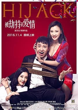 被劫持的爱情 - 喜剧片 (2016) 海报