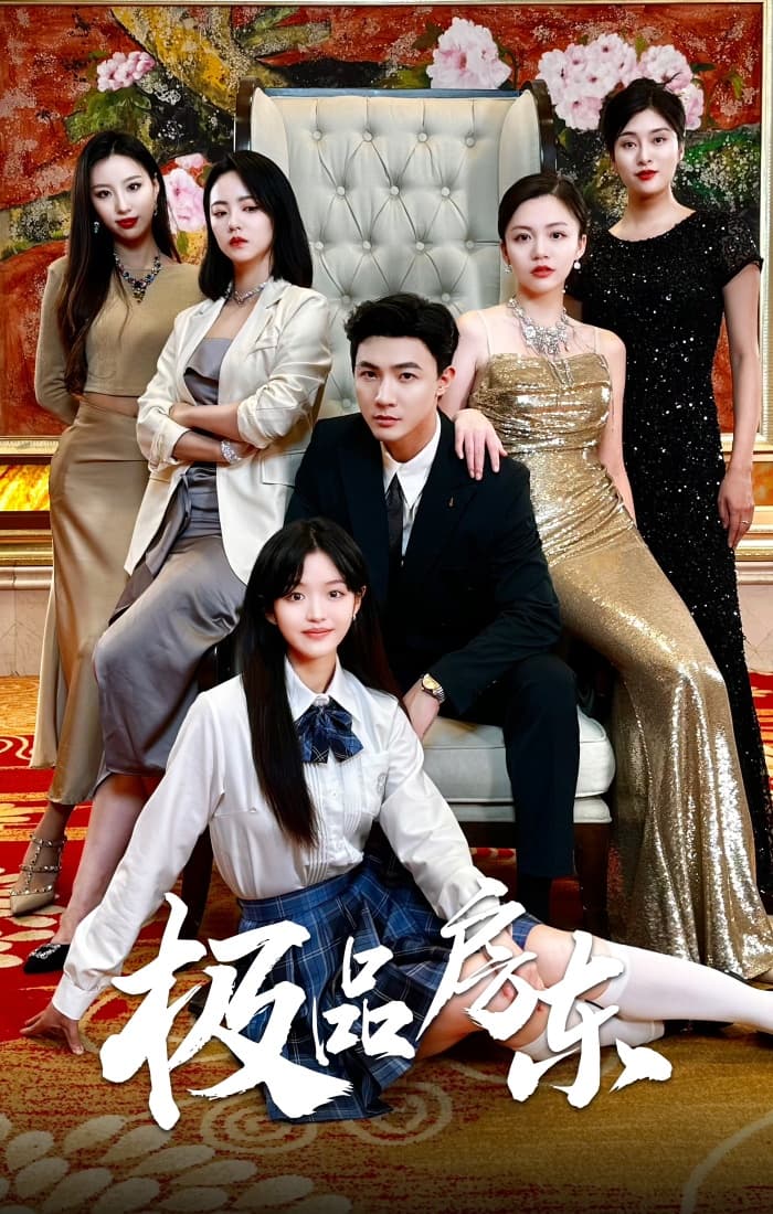 极品房东 - 现代都市 (2024) 海报