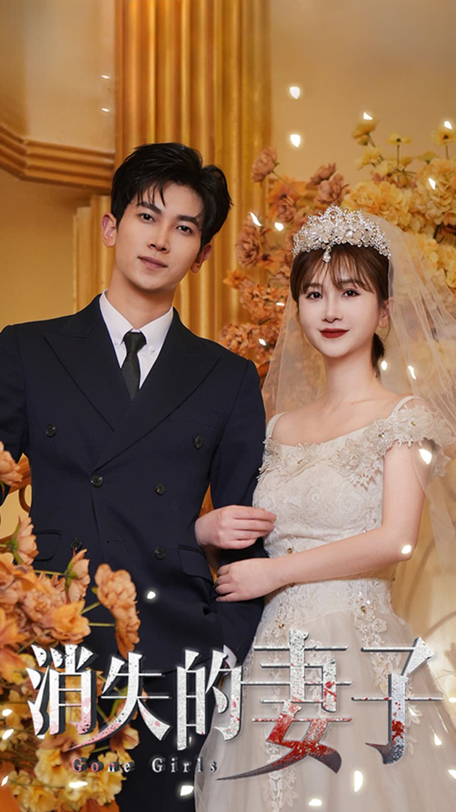 新：消失的妻子 - 现代都市 (2024) 海报