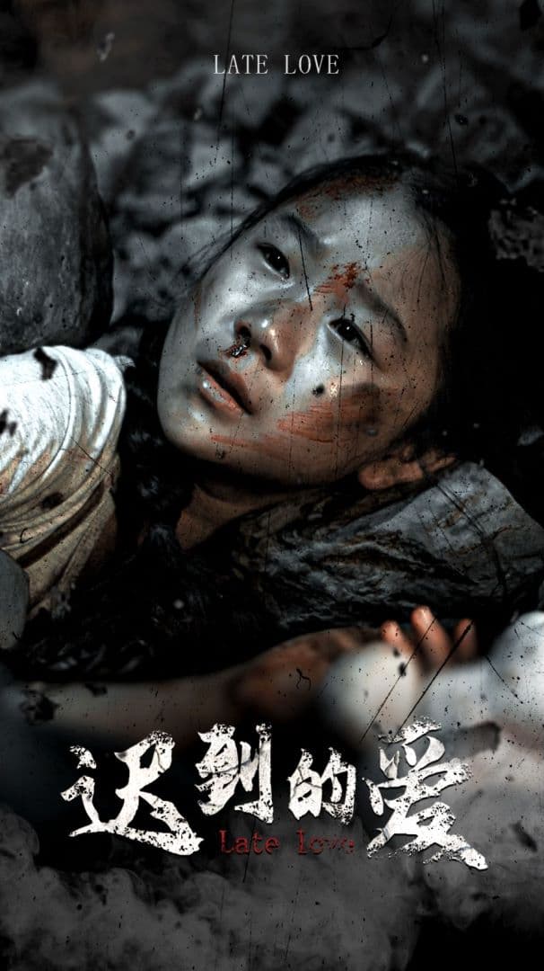 迟到的爱 - 现代都市 (2024) 海报