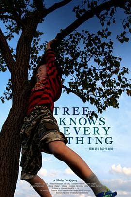 一棵知道很多故事的树 - 纪录片 (2017) 海报