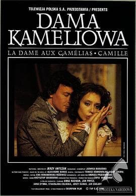 茶花女【影视解说】 - 影视解说 (1995) 海报
