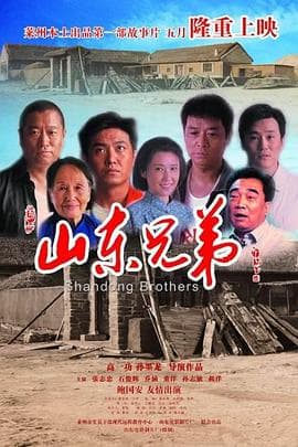 山东兄弟 - 剧情片 (2013) 海报