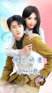 傅总娇妻不可欺 - 现代都市 (2024) 海报