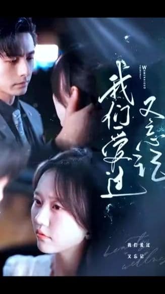 我们爱过又忘记 - 现代都市 (2024) 海报