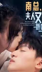 南总，夫人又出新款了 - 现代都市 (2023) 海报