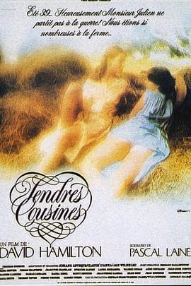 十八岁未嫁时 - 剧情片 (1980) 海报