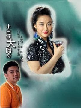 小白领大翻身 - 剧情片 (2011) 海报
