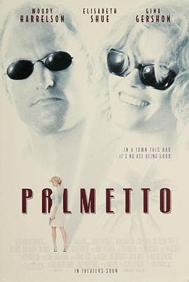 防不胜防 - 剧情片 (1998) 海报