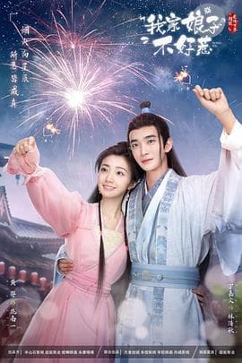 我家娘子惹不起 - 国产剧 (2024) 海报
